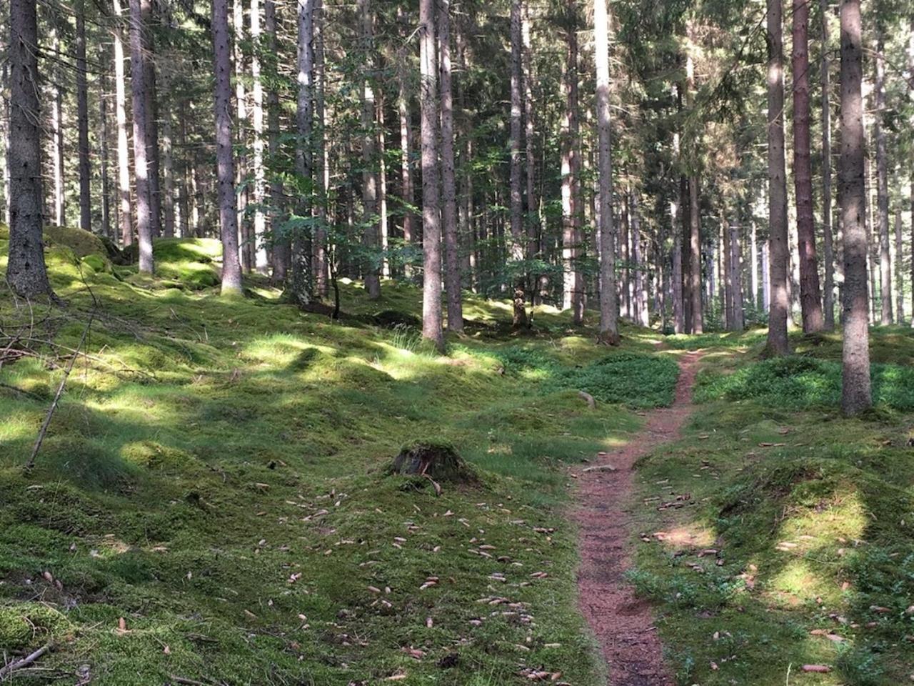 Lille Carlsson Villa Broby Exteriör bild