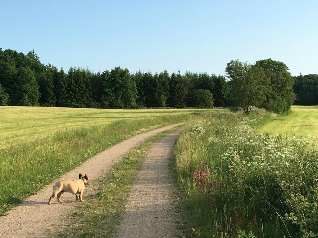 Lille Carlsson Villa Broby Exteriör bild